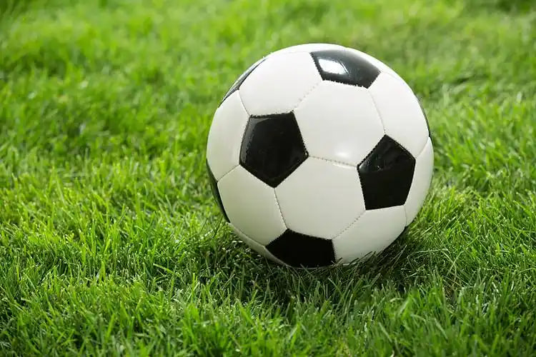 足球竞彩预测数据分析图表